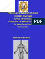 Osteologia de Mm.ss