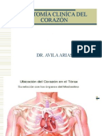 01- Anatomía clínica del corazón