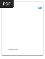 Download Pakistan Civil Aviation Authority presentation report by anum khan  SN18277945 doc pdf