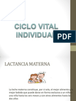 Ciclo Vital