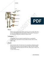 Fibrous: Biology Chapter 2: Support System