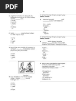 Bahasa Melayu Kertas 1 Set 2 Ujian Percubaan Upsr SJKC