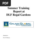 summer training report of dlf