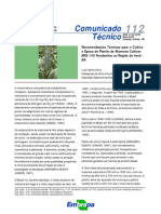 Recomendações tecnicas para o cultivo e epoca de plantio da cultivar de mamoneira BRS 149 (LCSilva)