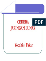 Cidera Jaringan Lunak