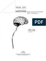 Atlas Final Neuro 2011
