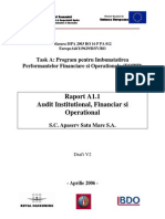 Report - FOPIP - Satu Mare - Second - Draft - Rom PDF