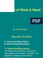 Muscles of The Hand & Wrist