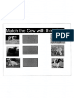 Cow Activity 1