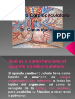 Cardiocirculatorio CNA Sexto