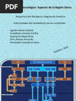 Exposicion de Bioquimica
