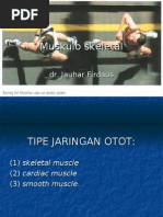 Download FISIOLOGI Muskulo Skeletal by elly nurus SN18295767 doc pdf