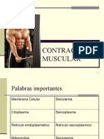 Contraccion Muscular