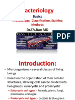 Bacteriology Basics Morphology, Classification, Staining Methods