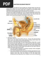 Download BENIGN PROSTAT HYPERPLASIAdocx by Andy Selvian SN182974894 doc pdf