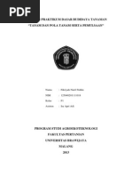 Download FNF_laporan pola tanam dan mulsadocx by Fikriyah Nuril Fiddin SN182983805 doc pdf