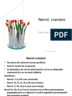 Nervii Cranieni