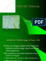 Protein Sel Tunggal