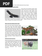 Download DAFTAR HEWAN ENDEMIK YANG HAMPIR PUNAH DAN TELAH PUNAHdocx by annisaputri9792 SN183017362 doc pdf