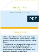 Demam Tifoid