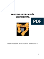 Protocolos Completo PDF