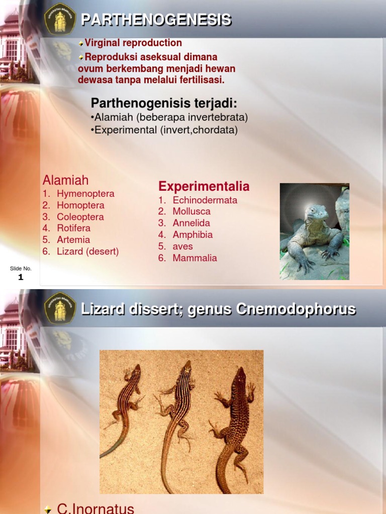 Overview of Parthenogenesis | PDF | Home & Garden | Wellness
