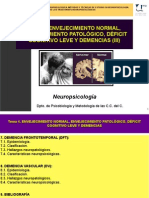 Presentación Tema 4. NPGrado 4.3 PDF