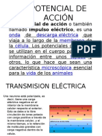 6558314-SINAPSIS-QUIMICA