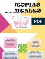 Distopias Genitales y Examenes Auxiliares