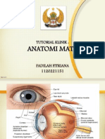 Anatomi Mata: Tutorial Klinik