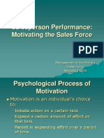 Salesperson Performance: Motivating The Sales Force