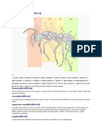 Răsăturile Corporale