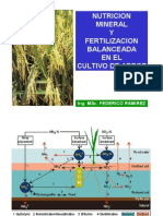 38546700 Nutricion y Fertilizacion Del Arroz 2006