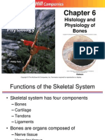 Histology and Physiology of Bones: Osteon