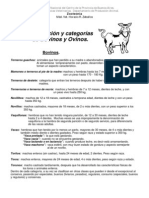 Clasificacion y categorías de los animales.2009