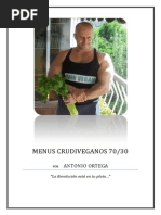 Download Menus Crudiveganos 70-30 a30 Menus Completos by Kepa Lozano Calvo SN183071336 doc pdf