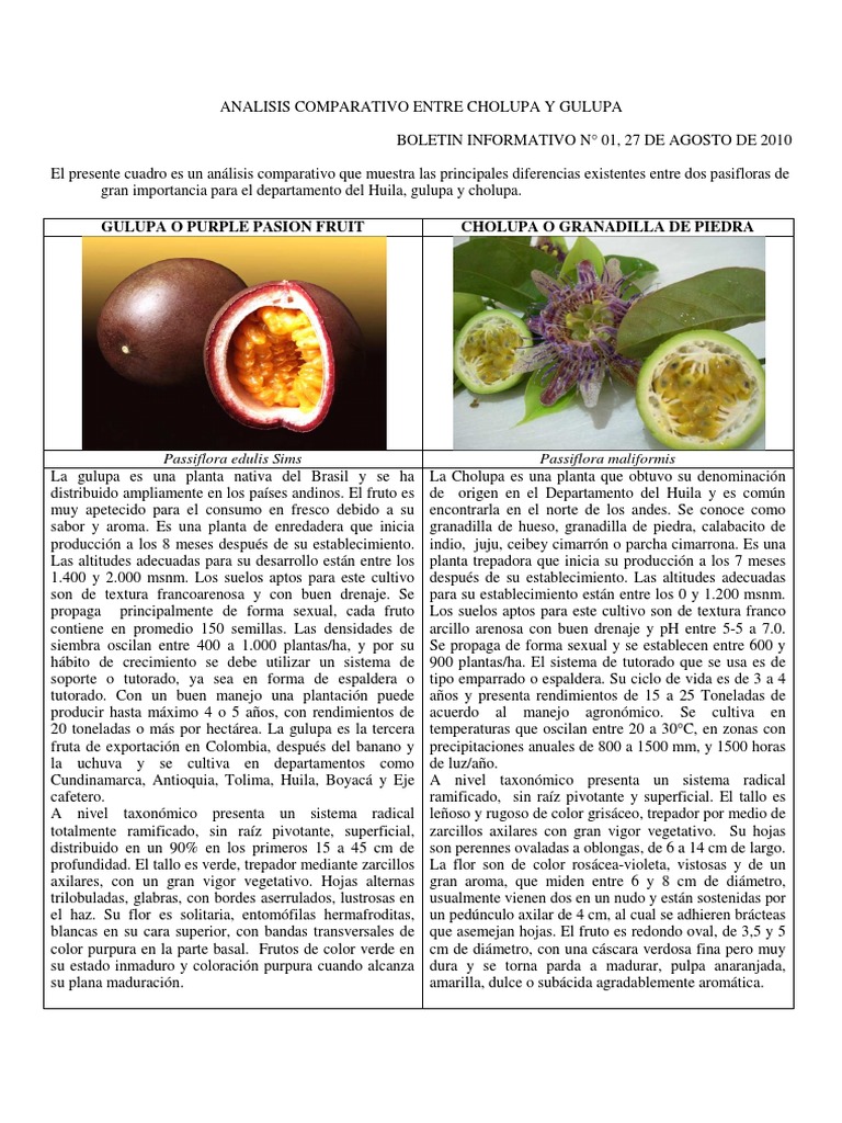 Comparativa entre Cholupa y Gulupa | PDF | Plantas comestibles ...