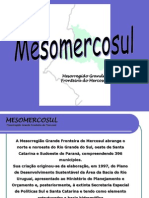 ApresentacaoInstitucionalMesomercosuleForum