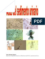 Atlasdelsedimentourinario 130129202043 Phpapp01