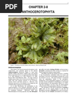 2-8Anthocerotophyta.pdf