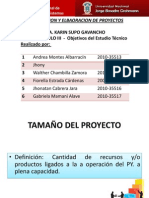 TAMAÑO DEL PROYECTO