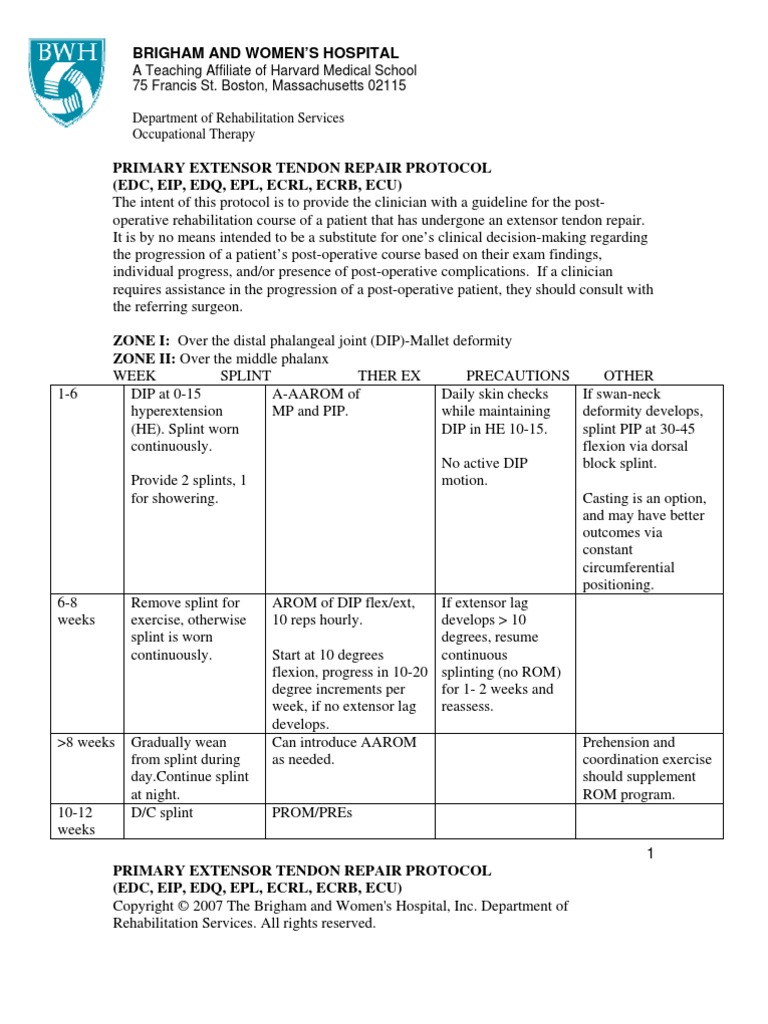 Extensor Tendon Injury Protocol | PDF | Thumb | Hand