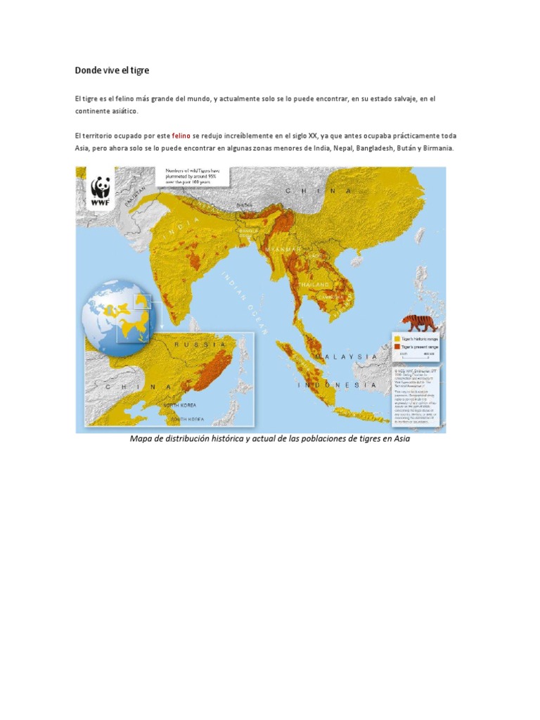 Donde Vive El Tigre | PDF | Tigre | Mamíferos de asia