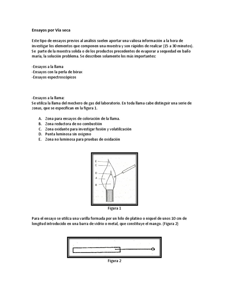 Ensayos Por Via Seca Pdf