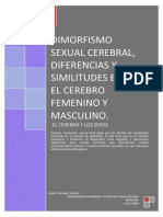 dimorfismosexualcerebral-100307103157-phpapp02