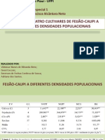 Feijão caupi - Populações