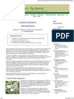 Auto Espressione PDF