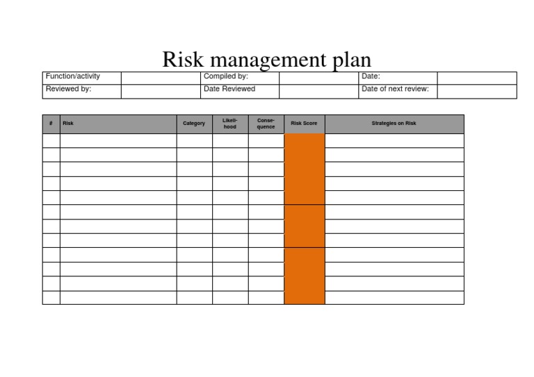 Risk Management Plan Overview | PDF