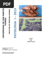Guia de Practica Patologia I-2013-II