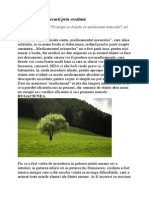 Principiile Vindecarii Prin Credinta PDF